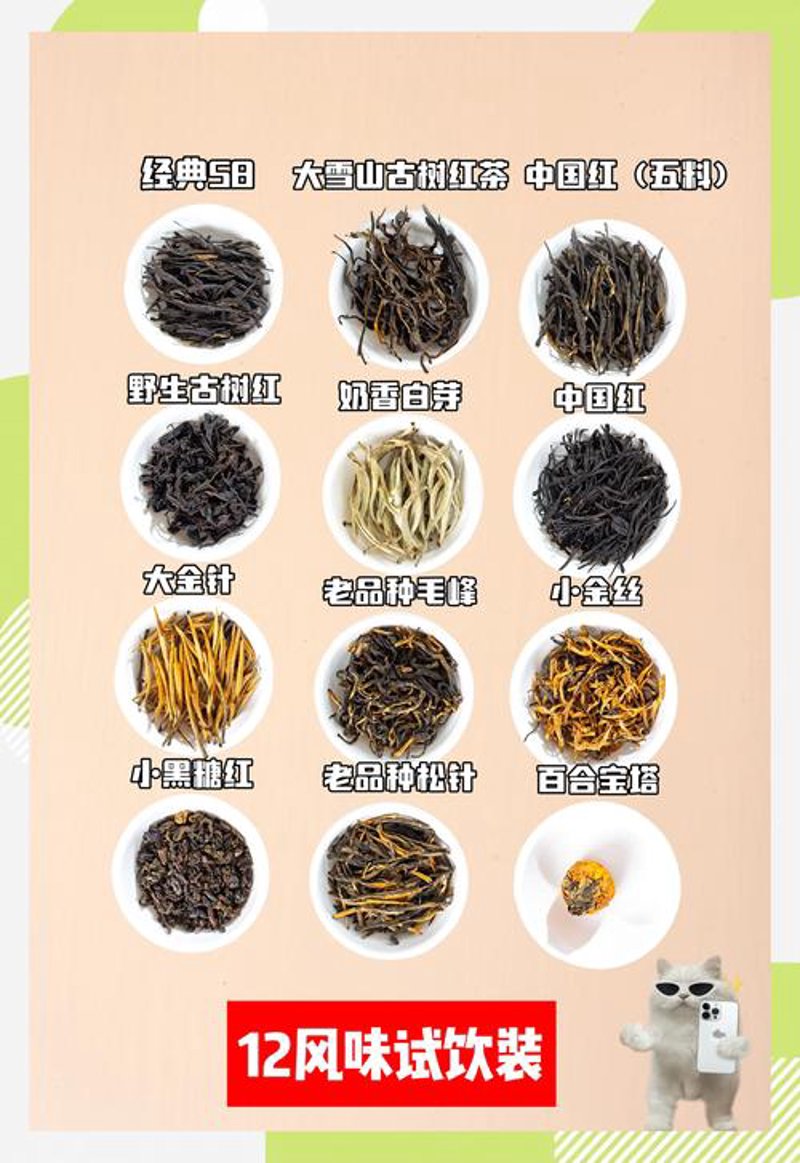 普洱茶批发:在时光中品味岁月的味道